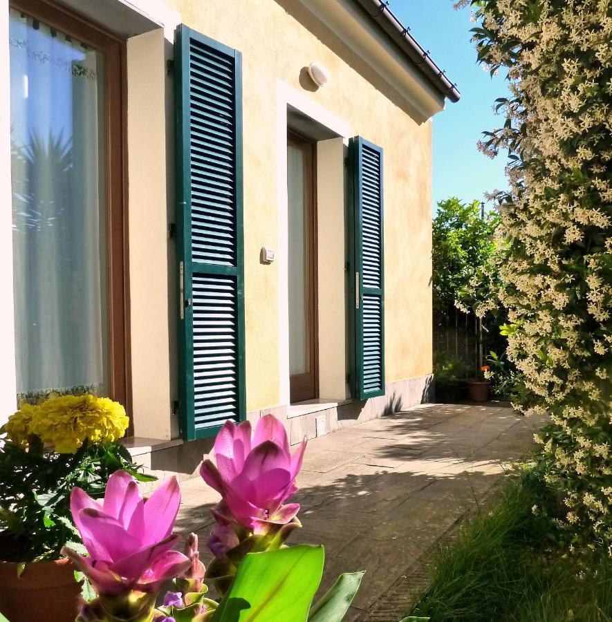 Double or Twin Room Garden View