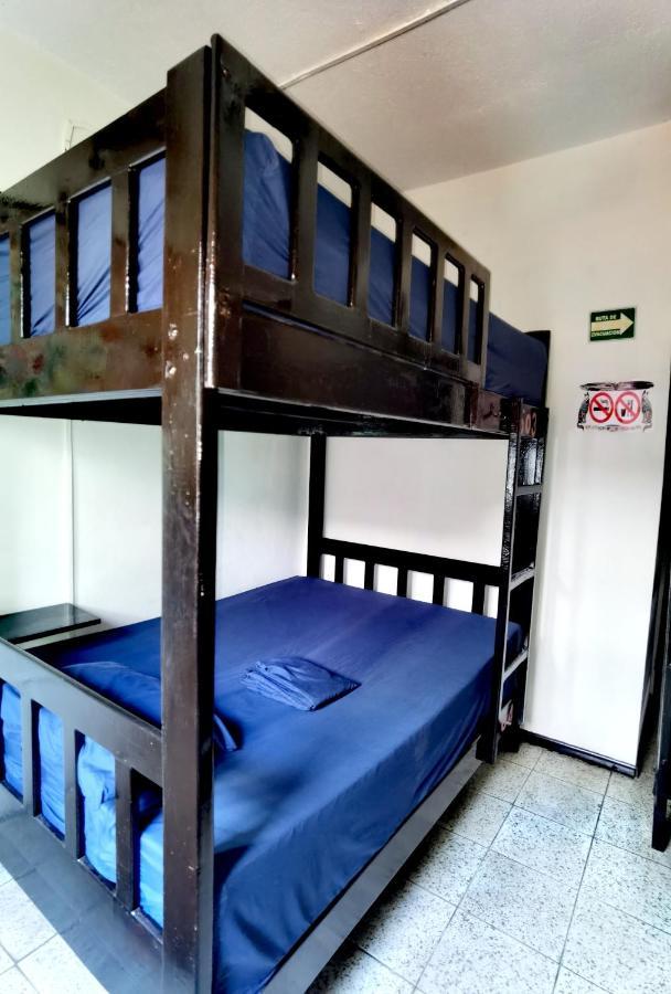 Single Bed in Female Dormitory Room,1112982231:JPEG
