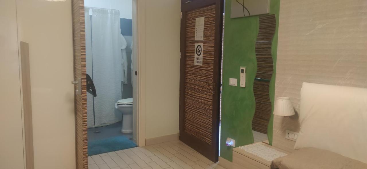 King Room Roll Shower Disability Access