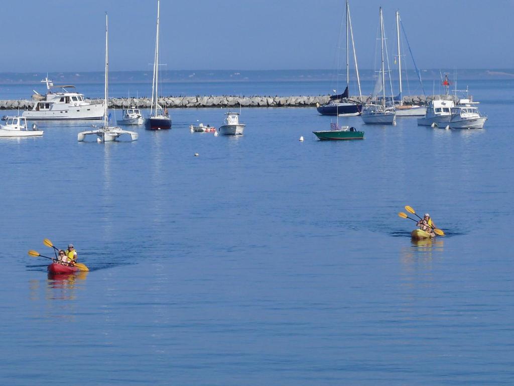 King Studio with Ocean View,33292474:JPEG