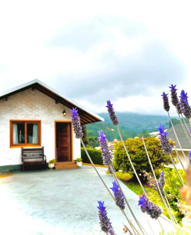 Deluxe Double Room Balcony