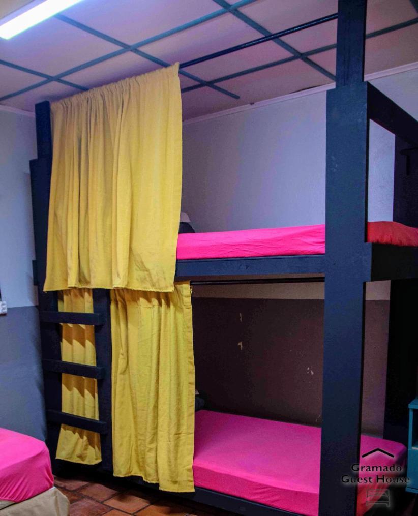 Bed 6-Bed Female Dormitory Room