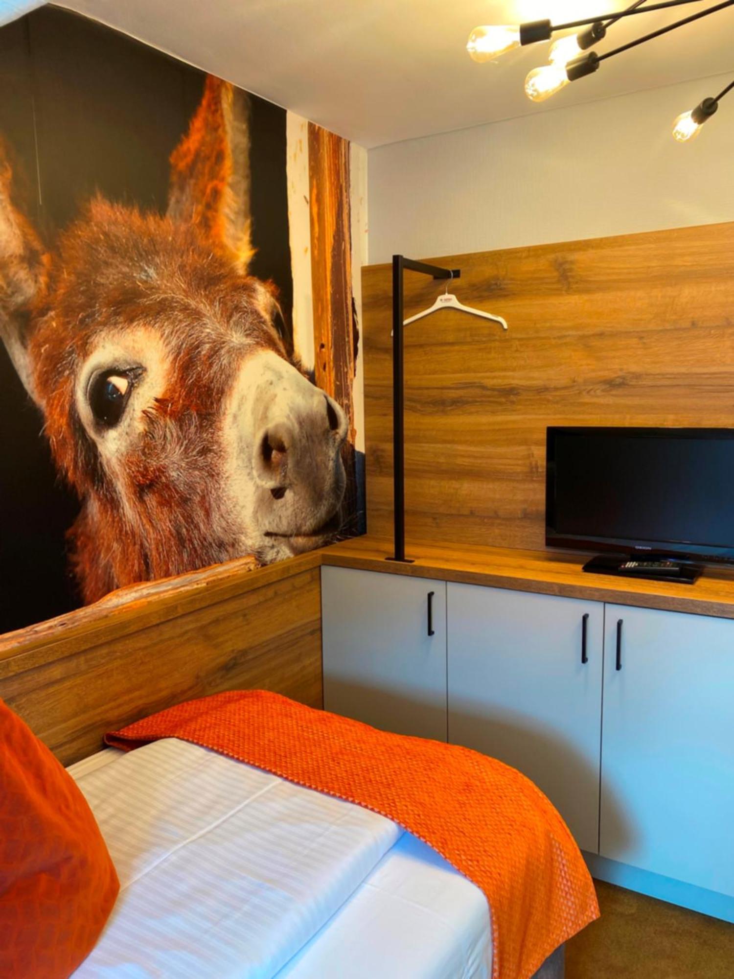 Apartment (4 Adults)