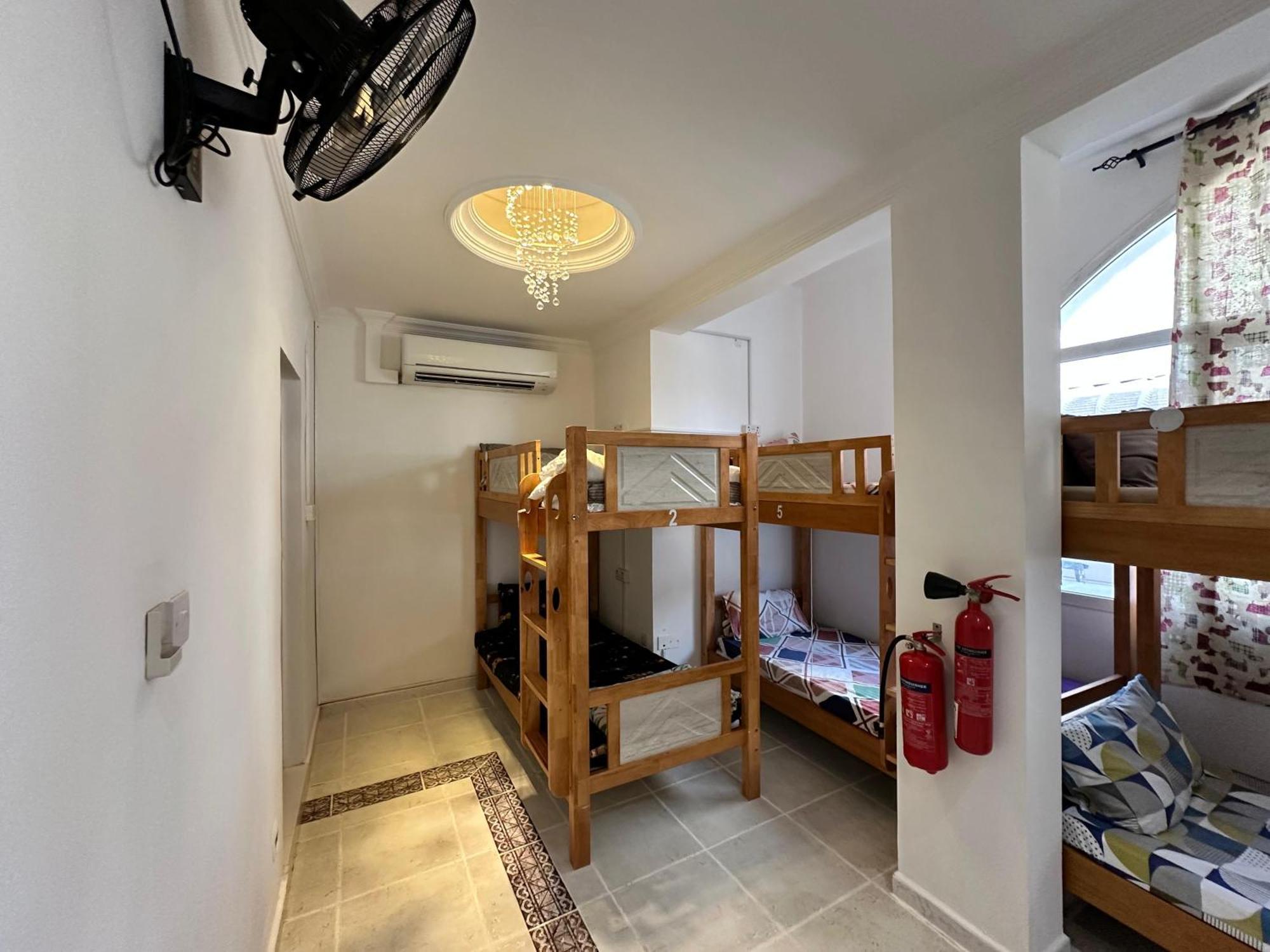 Bunk Bed in Mixed Dormitory Room