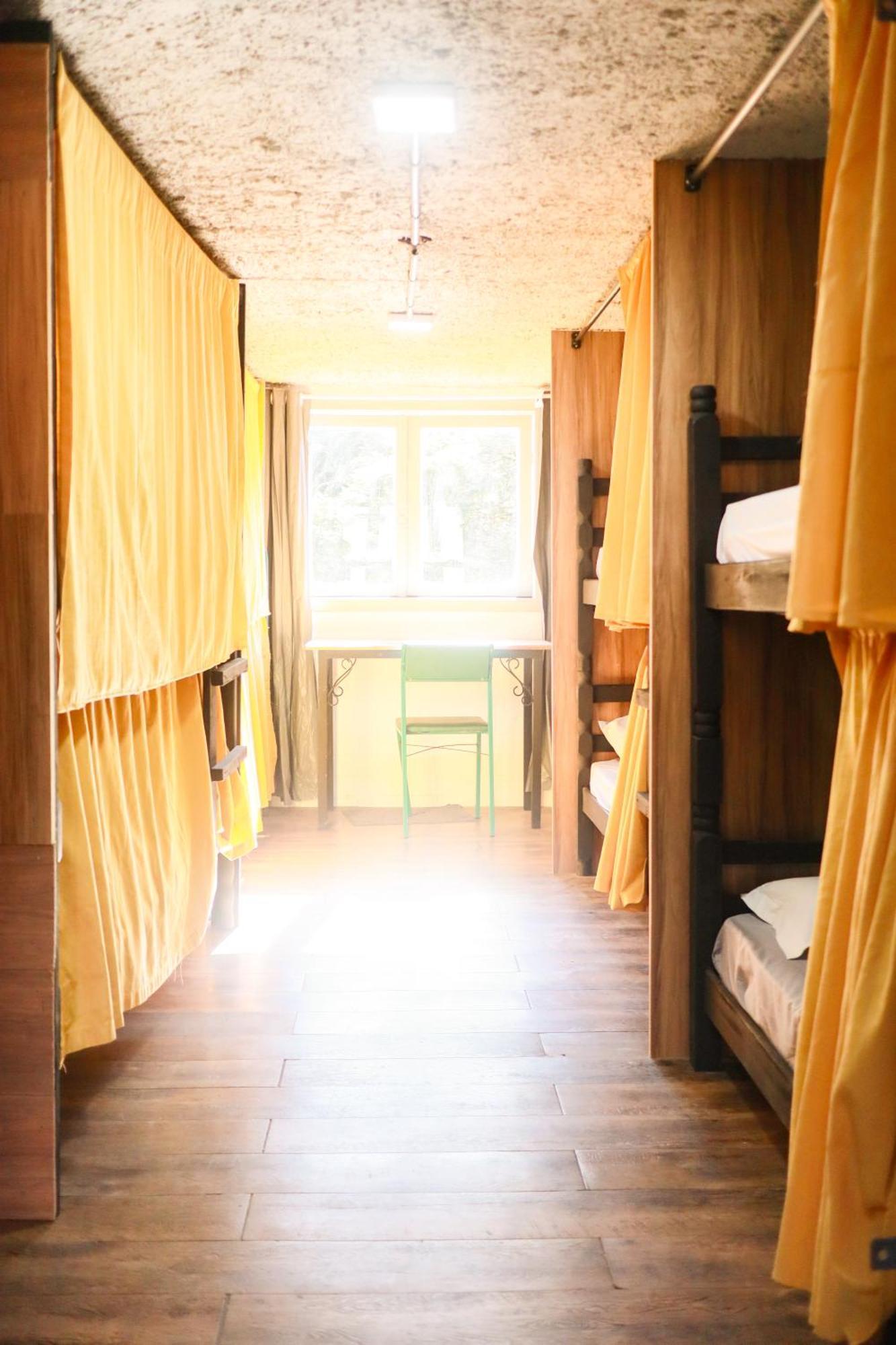 Bunk Bed Mixed Dormitory Room