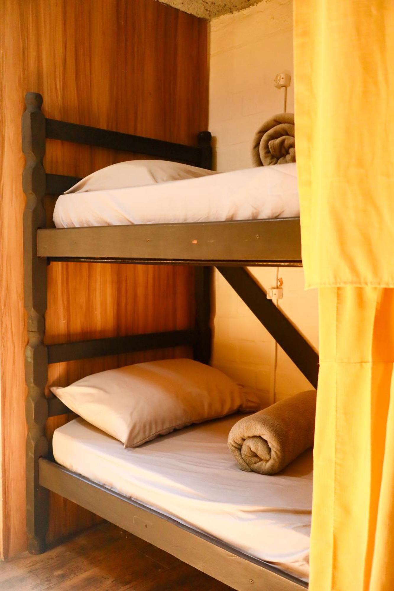 Bunk Bed Mixed Dormitory Room