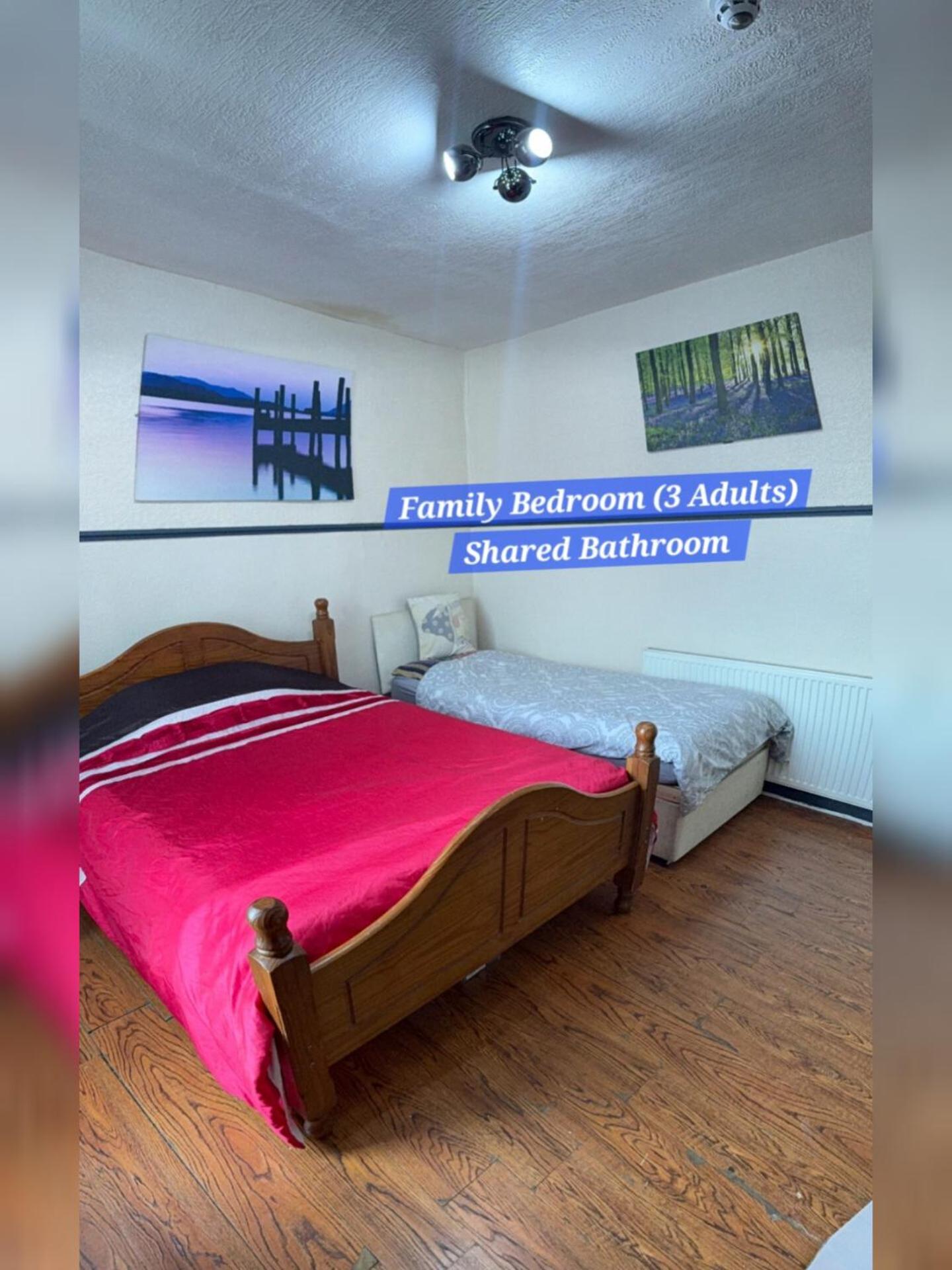 Family Room,1770935612:JPEG