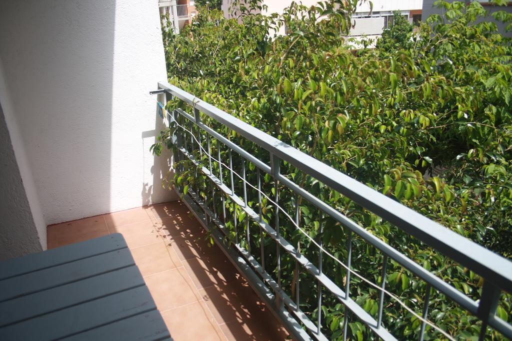 Twin Room with Shared Bathroom and Terrace,256042441:JPEG