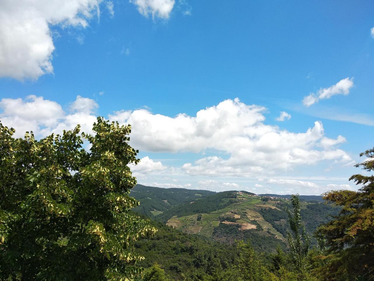 Quarto Twin com Vista Montanha