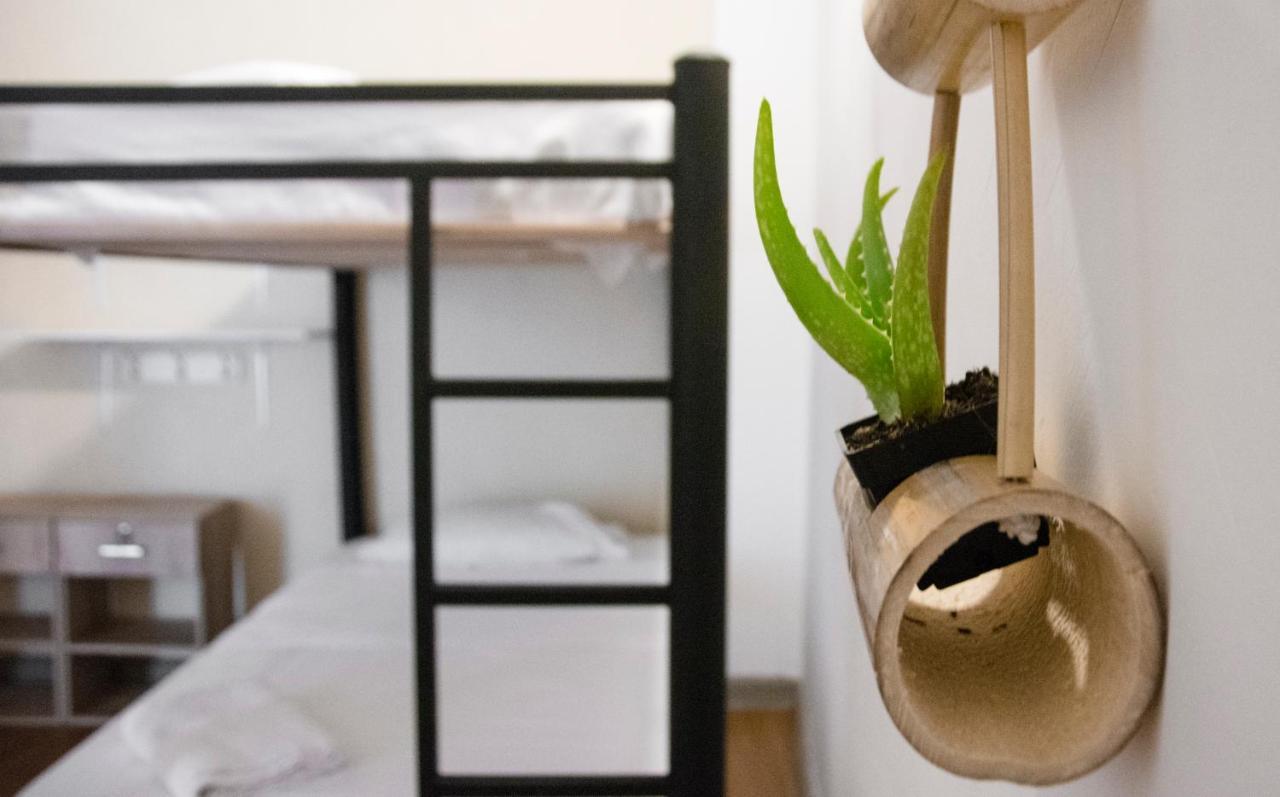 Habitación Compartida Mixta