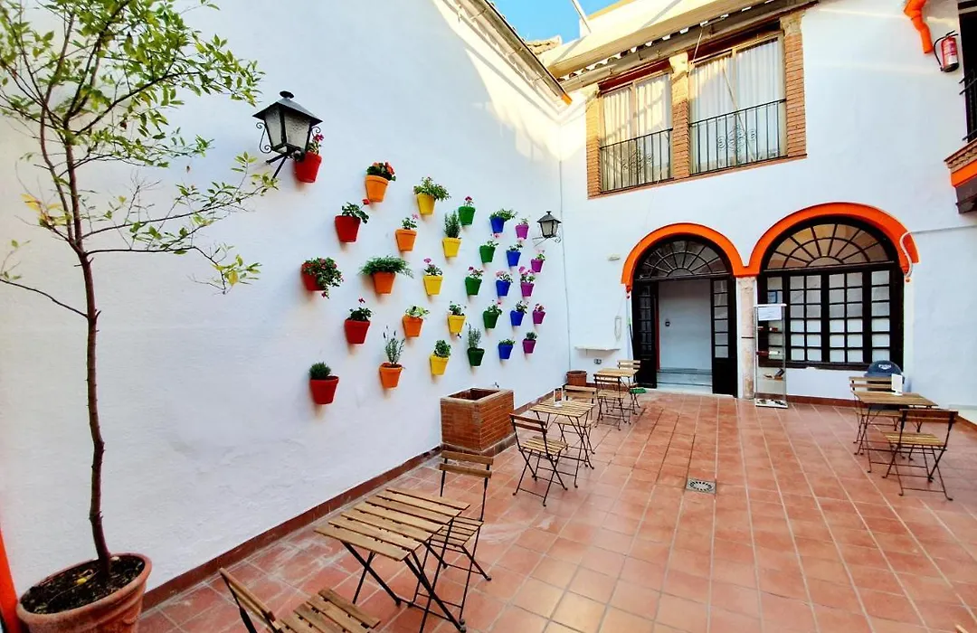 Arc House Córdoba Only Adults-1
