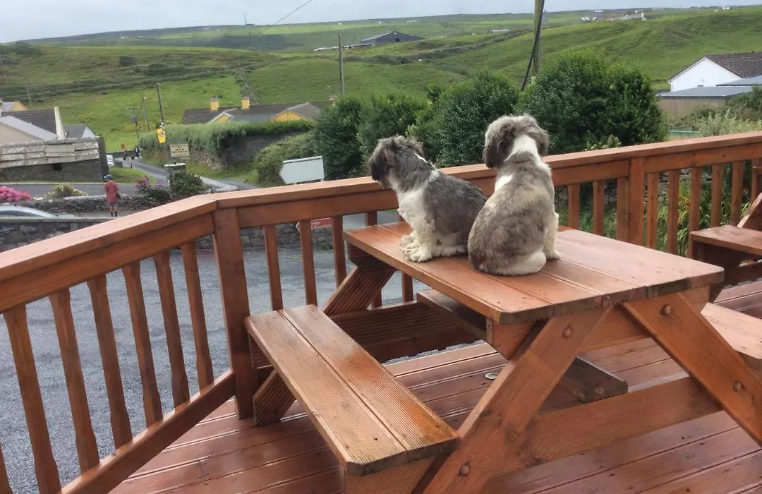 Doolin Lanelodge-1