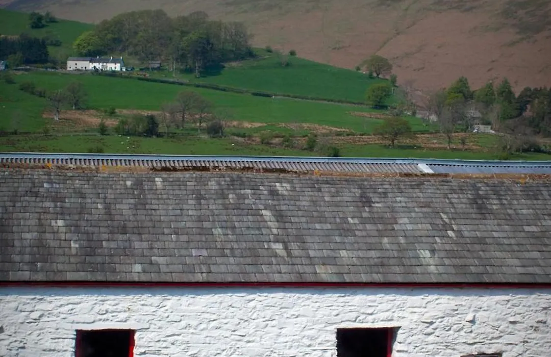 Littletown Farm Guest House-1
