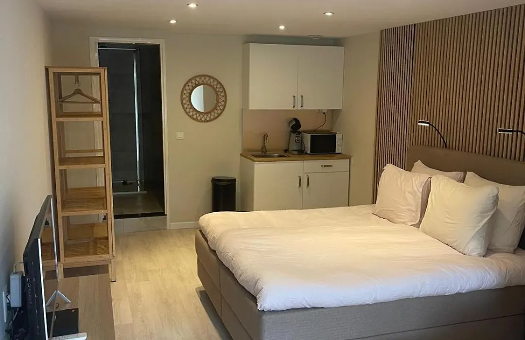 Studio Alexander With Private Indoor Parking-1