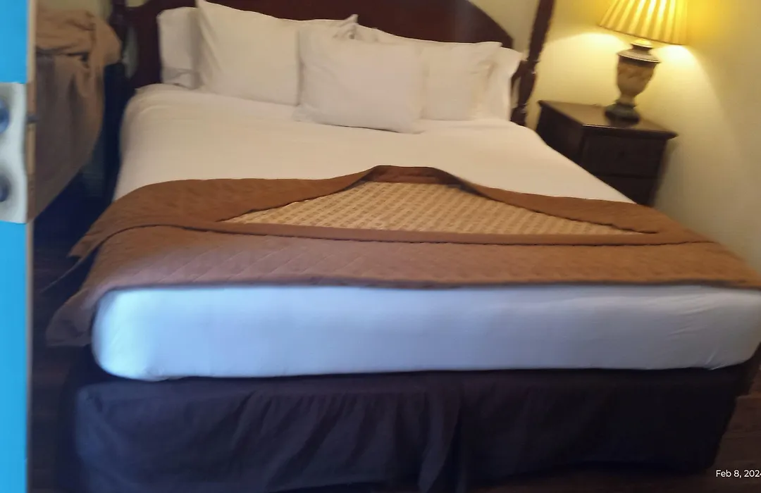New Orleans Guest House-1