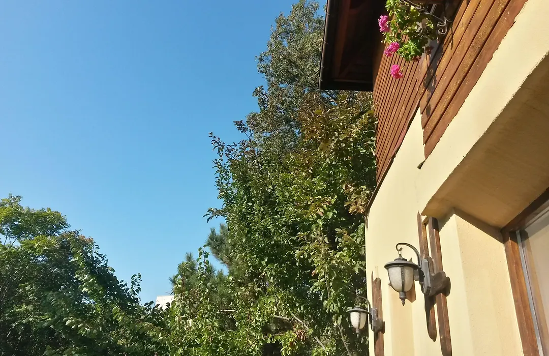 Casa Mica Guesthouse-1
