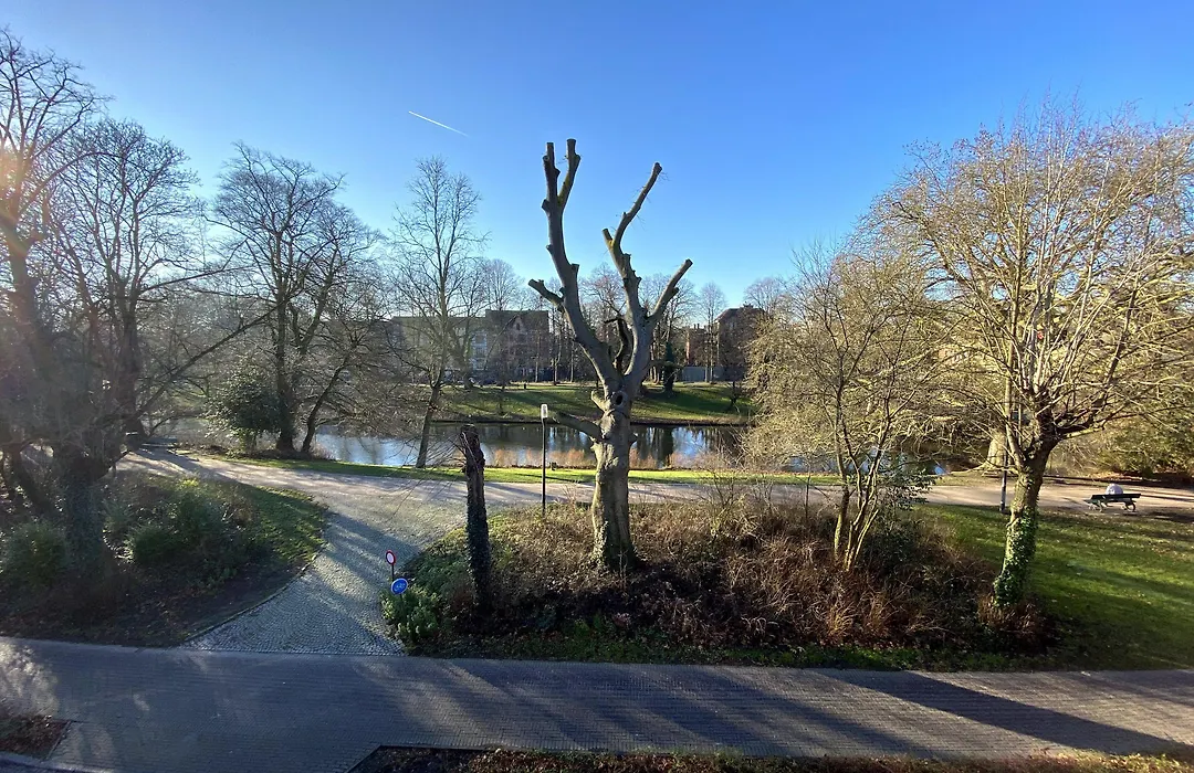 De Hoogmolen - 3 Mins From The City Centre-1
