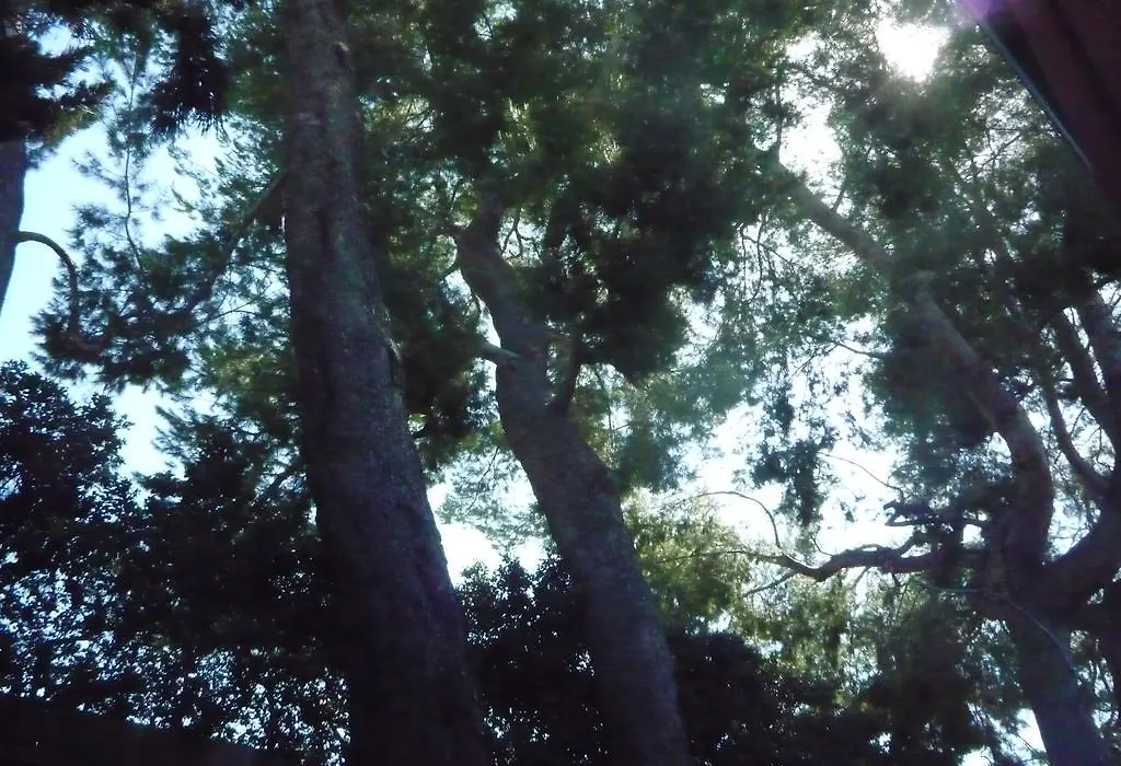 Woodland Hills Calabasas Guesthouses-1