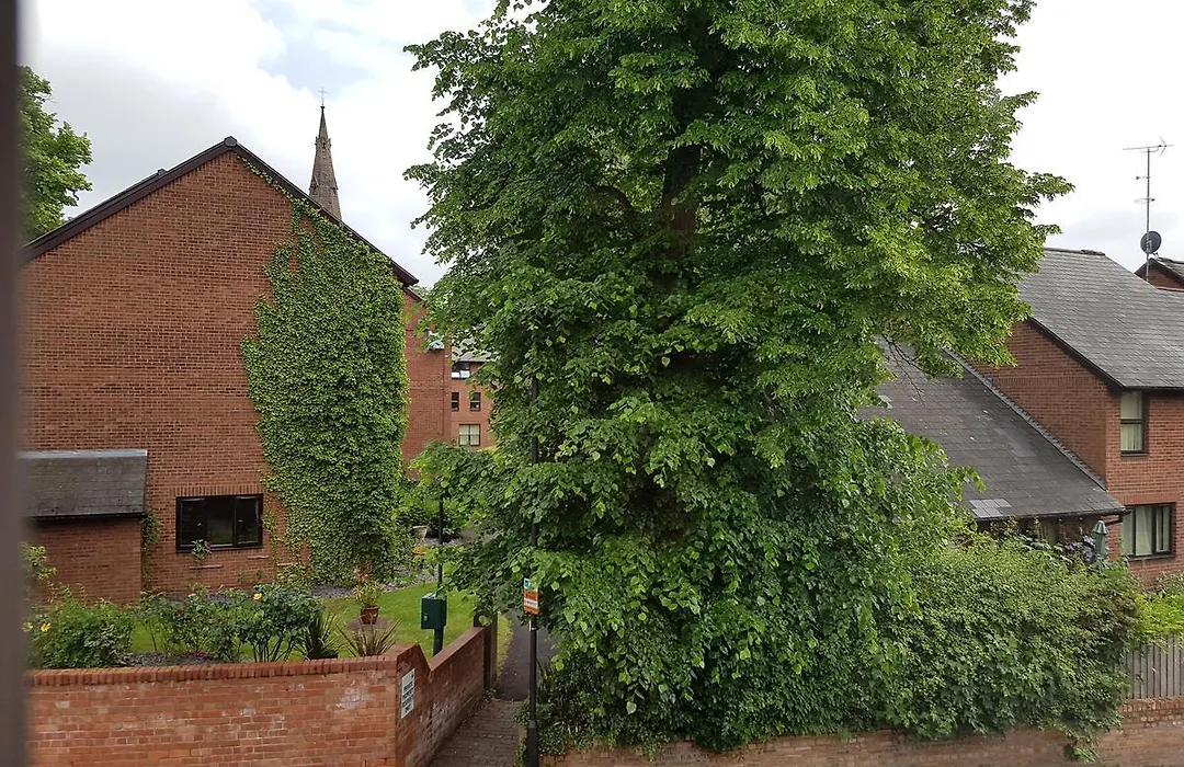 Alexandra Lodge Guest House-1