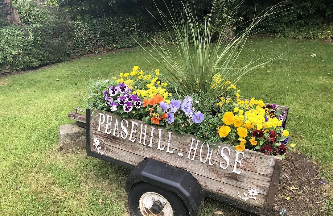 Peasehill Bed & Breakfast-1