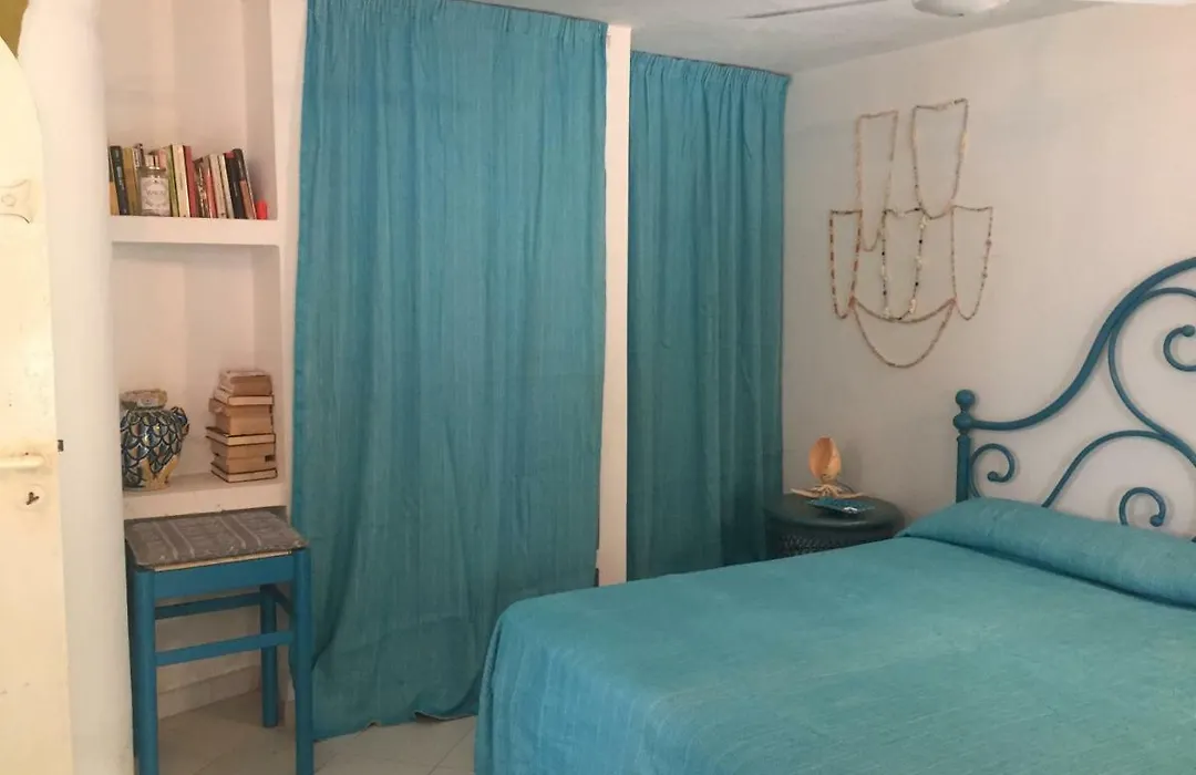 Casa Tortuca-1