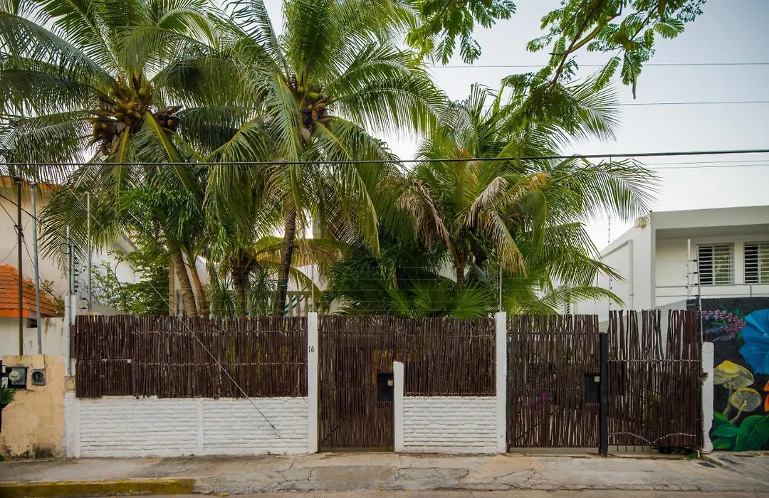 Casa Tropical-1