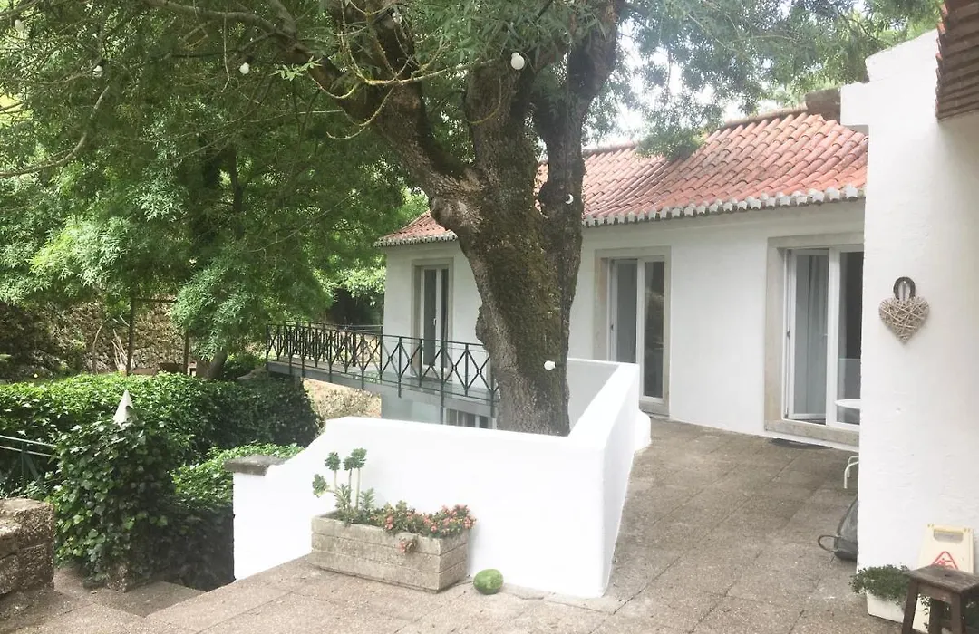 Sintra Center Guest House Escape To Nature-1