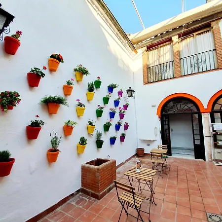 Arc House Córdoba Only Adults-2