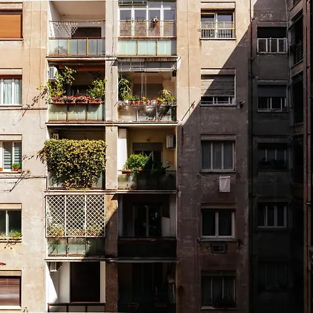 Residenza Il Giglio-2