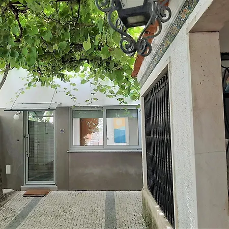 Casa Das Camelias Garden Guesthouse-2