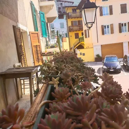 La tana dell'artista-3