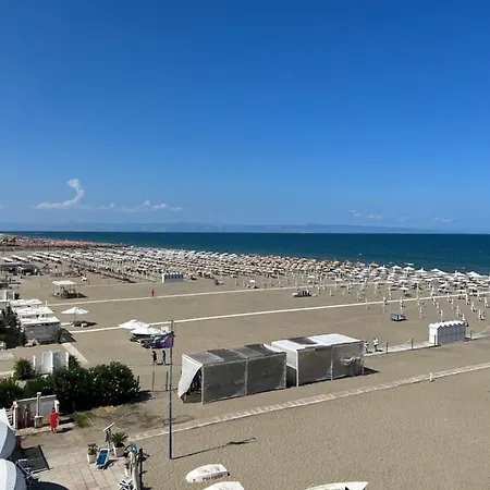 Al delfino blu-2