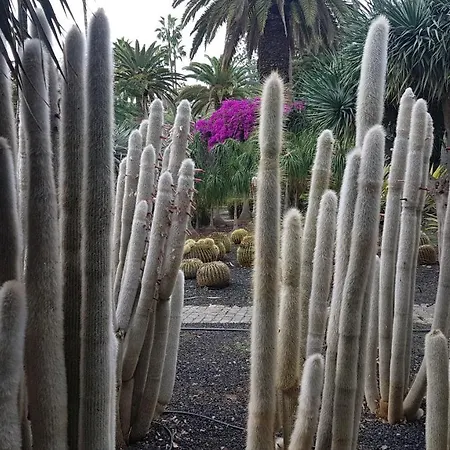 Casa Tortuga-3