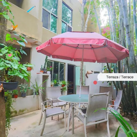 Guest House La Aldea Holistic Experience-2