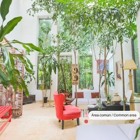 Guest House La Aldea Holistic Experience-3