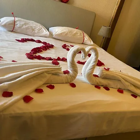 Guesthouse Vakantie Logies Hollywood-3