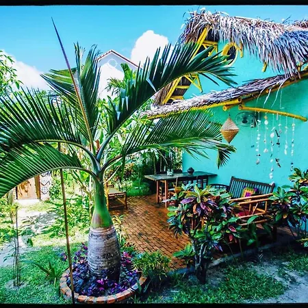The Happy Bird B&B-2