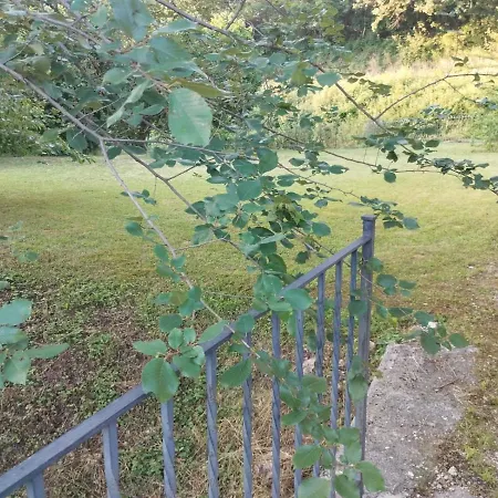 La Casa Dei Fagiani-2