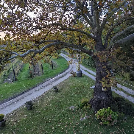 Castel San Mauro-2