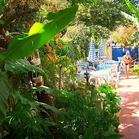 Villa Fortin Pension-2