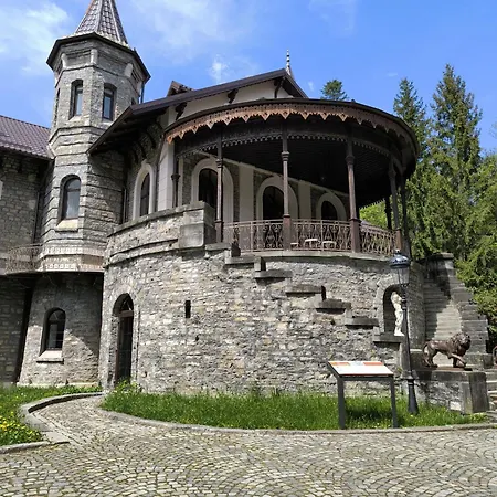 Castelul Stirbey-3