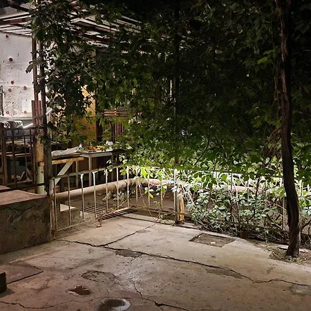 Mamo House-3