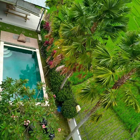 Popkorn Villa Guesthouse-2
