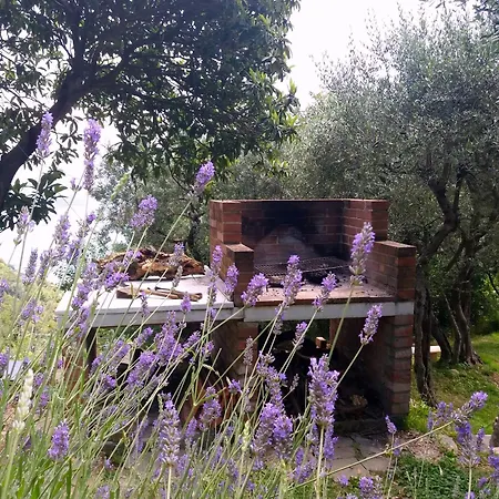 Tenuta di Venere-2