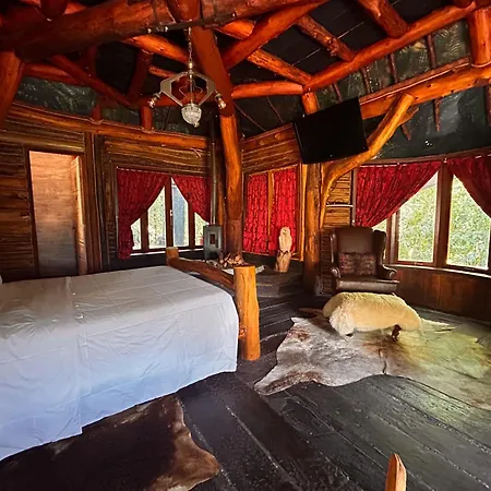 Art Lodge-2