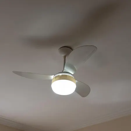 Mansão Adalgisa-2