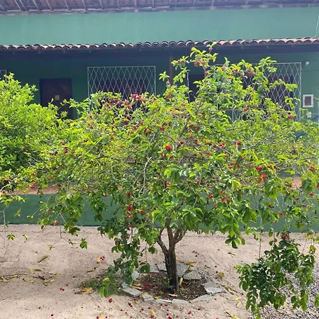 Nirvana Pipa-3