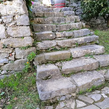 Tenuta di Venere-3