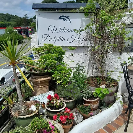 Dolphin Guest House-3