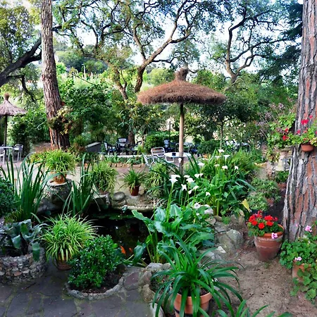 Hostal Magnolia-2